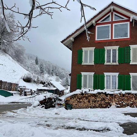 Old Farmhouse Loft Near Vaduz Sevelen Eksteriør bilde